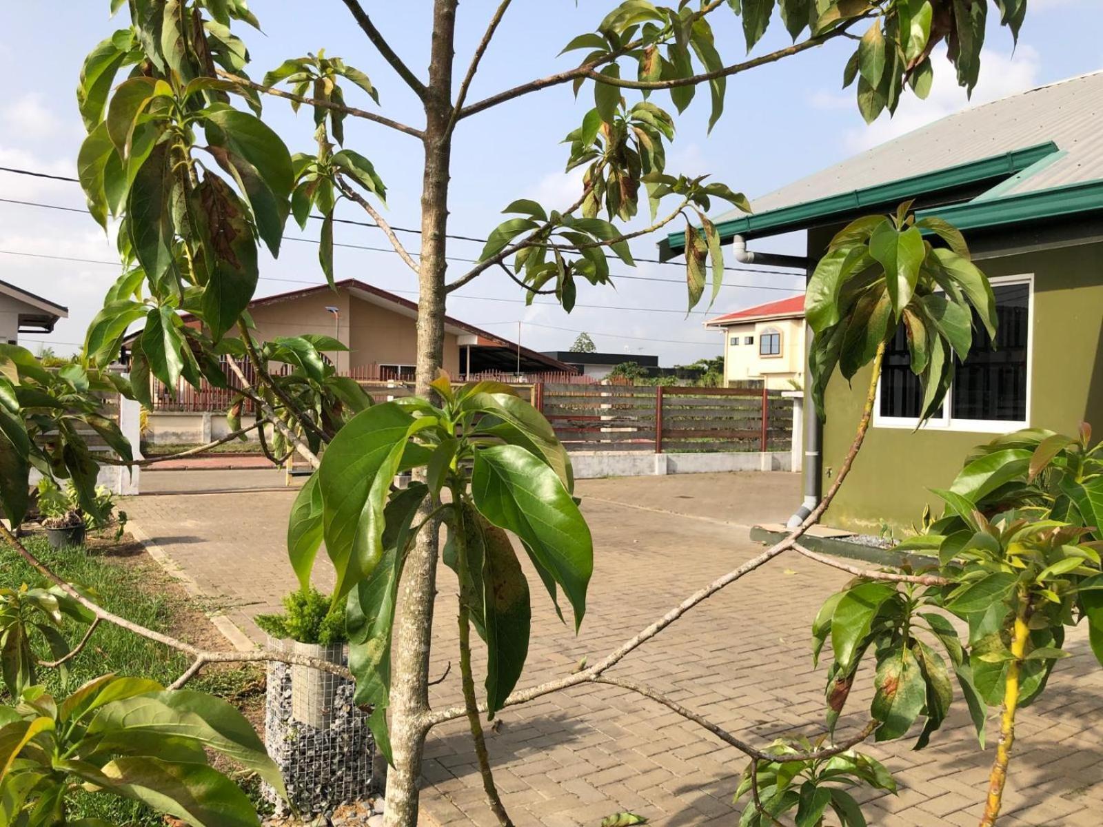 Grapefruitstraat Apartment Paramaribo Exterior photo